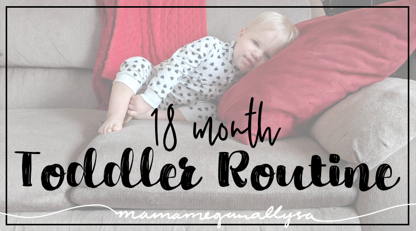 18 month old toddler routine