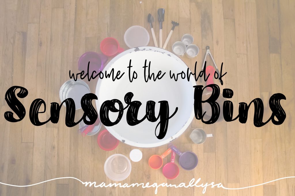 a title card for an intoduction to sensory bins showing a collection of tools used in sensory bins; from cups to canisters to spoons and shovels