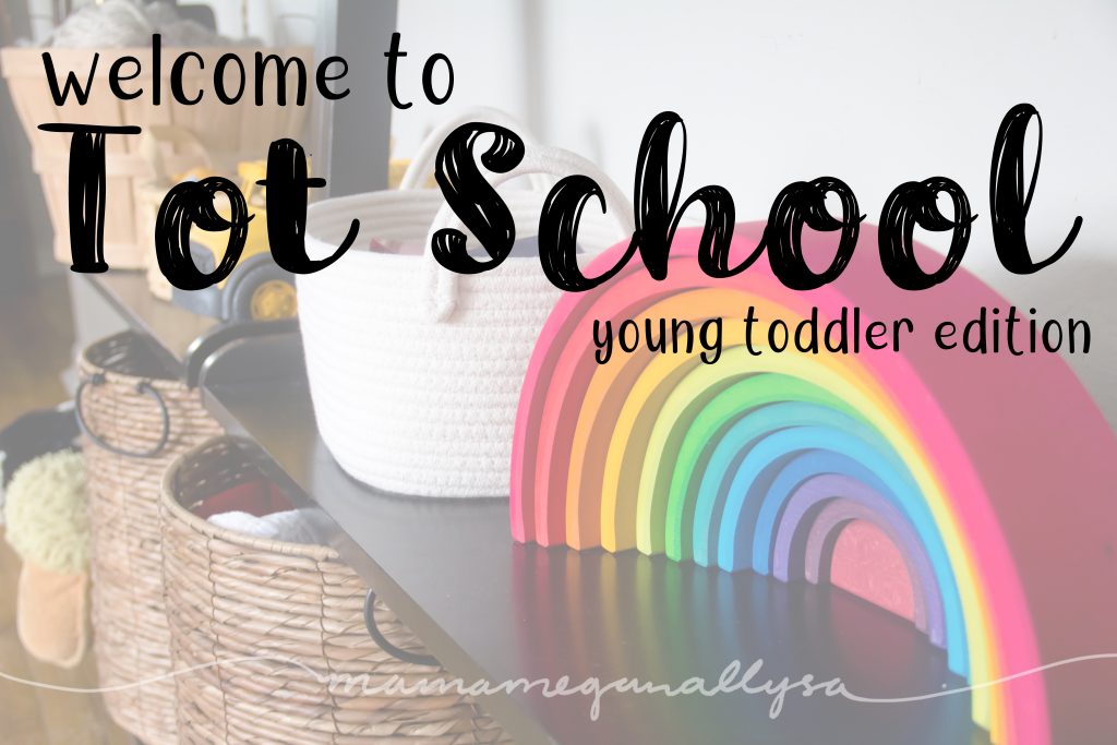 How We Organize Our Tot School Sensory Materials