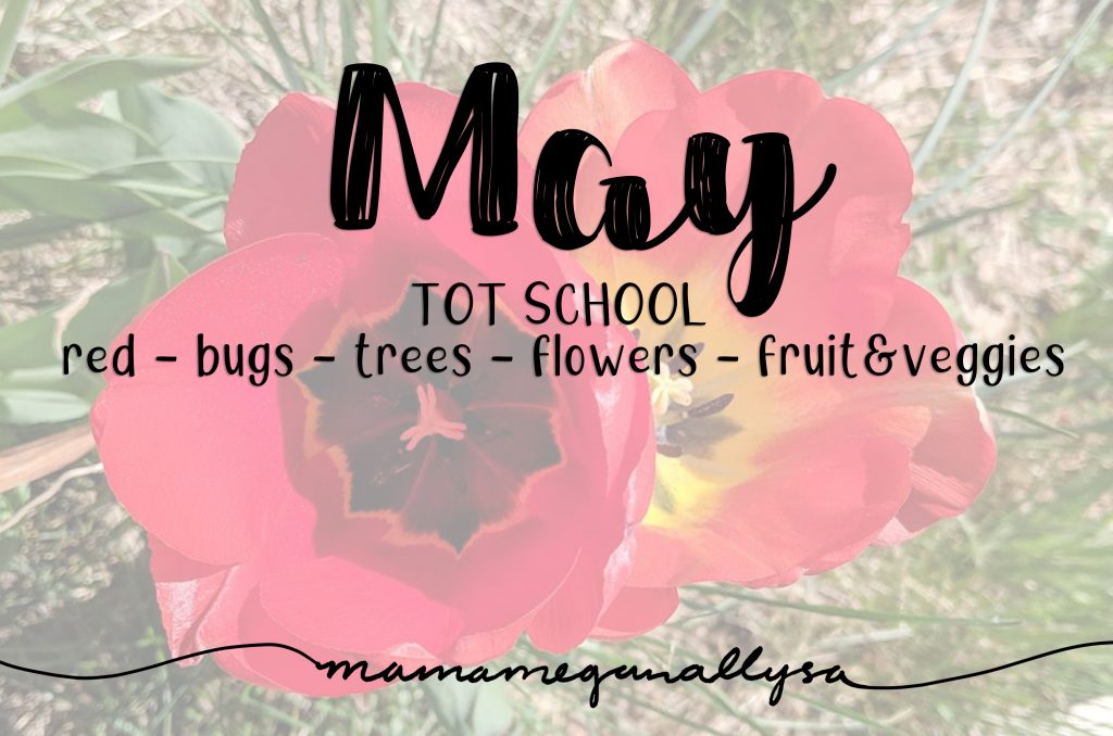 title card for our may tot school plans