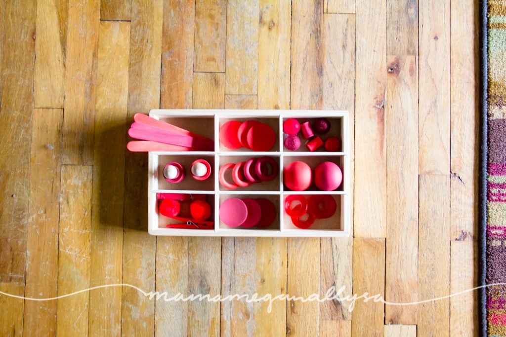 a top down view of red wooden loose parts toys in a divided tray