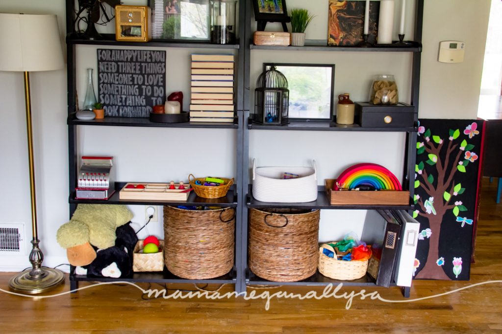 Black living room bookshelves with toys on the bottom two shelves