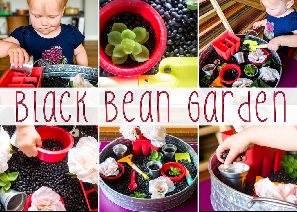  a collage title card with 6 pictures showing a black bean garden sensory bin