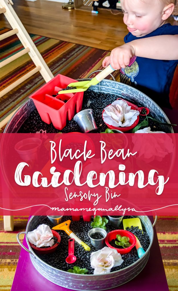 Title card for black bean garden sensory bin post. Showing toddler use play shovel and contents of bin