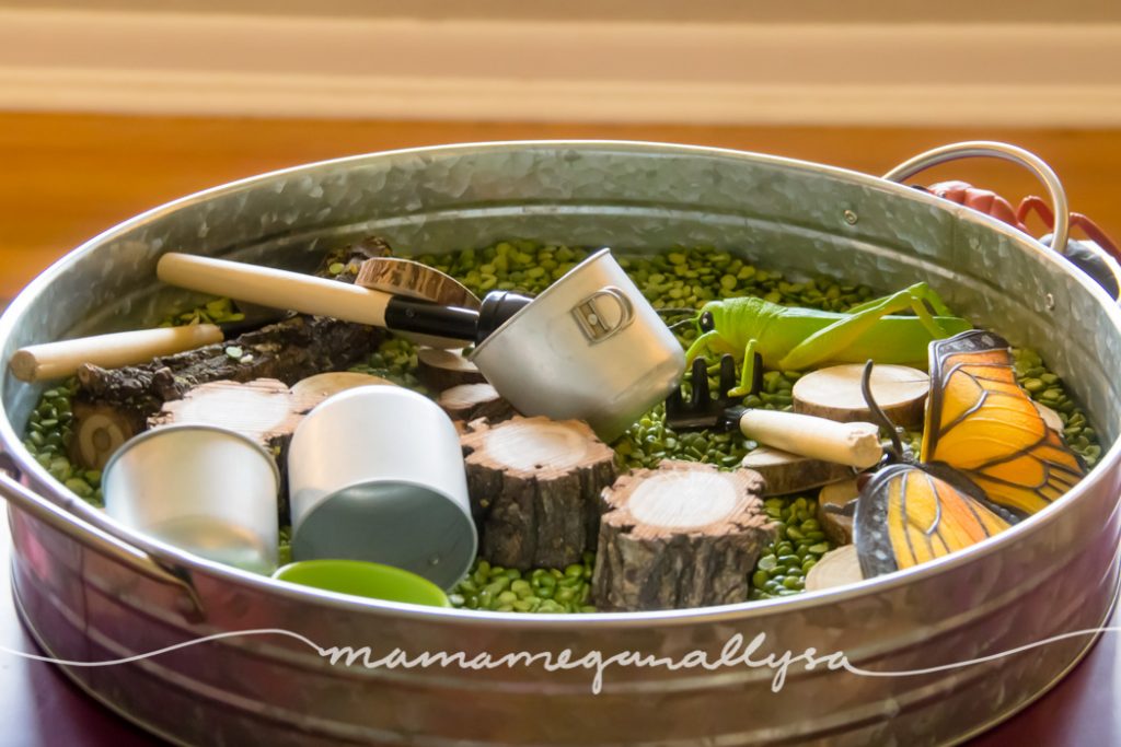 a Split Peas sensory bin with wood slices, fake bugs and mini metal pots