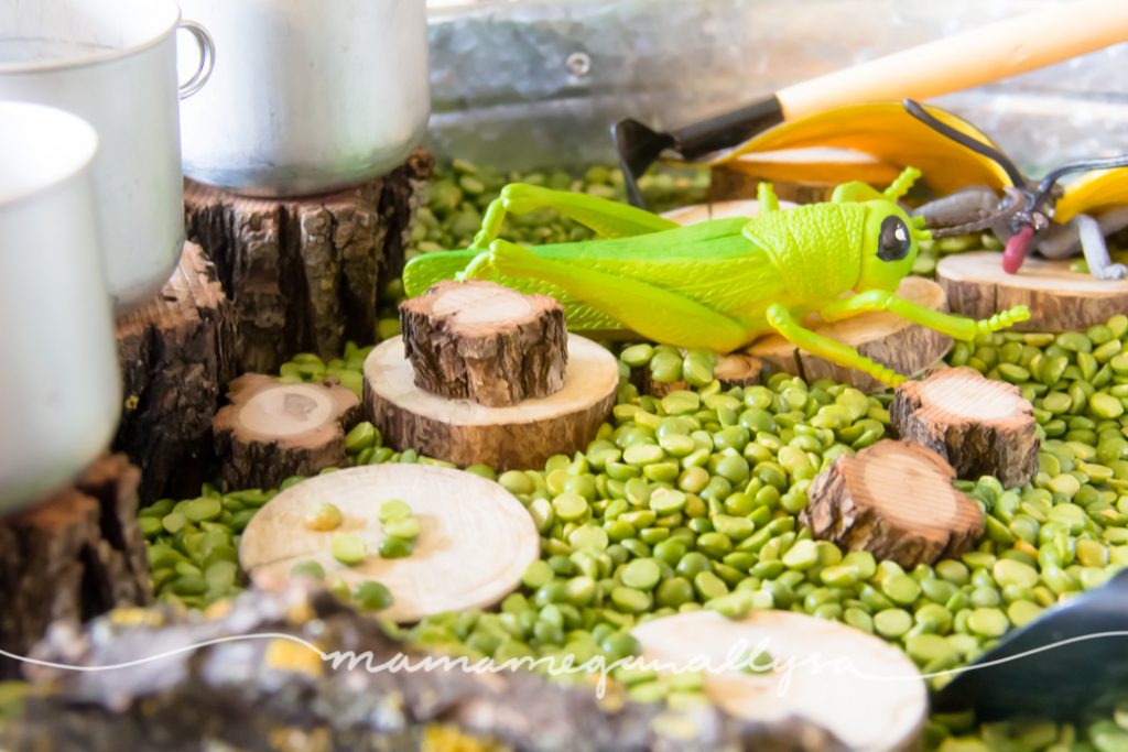 a close up of a large fake grasshopper and wood slices nestled in some split peas