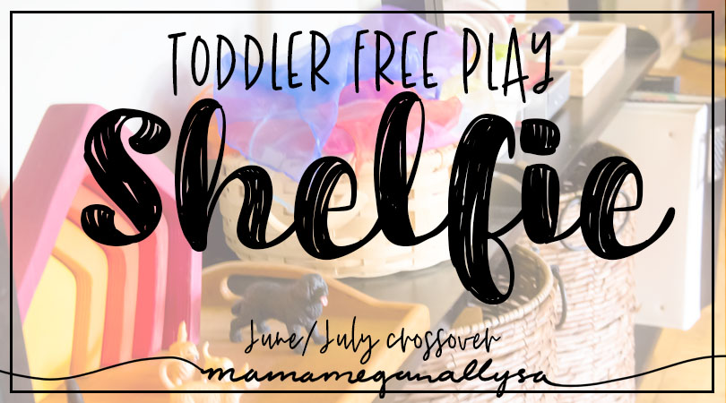 Toddler Toy Self : Free play toy rotation for July title card