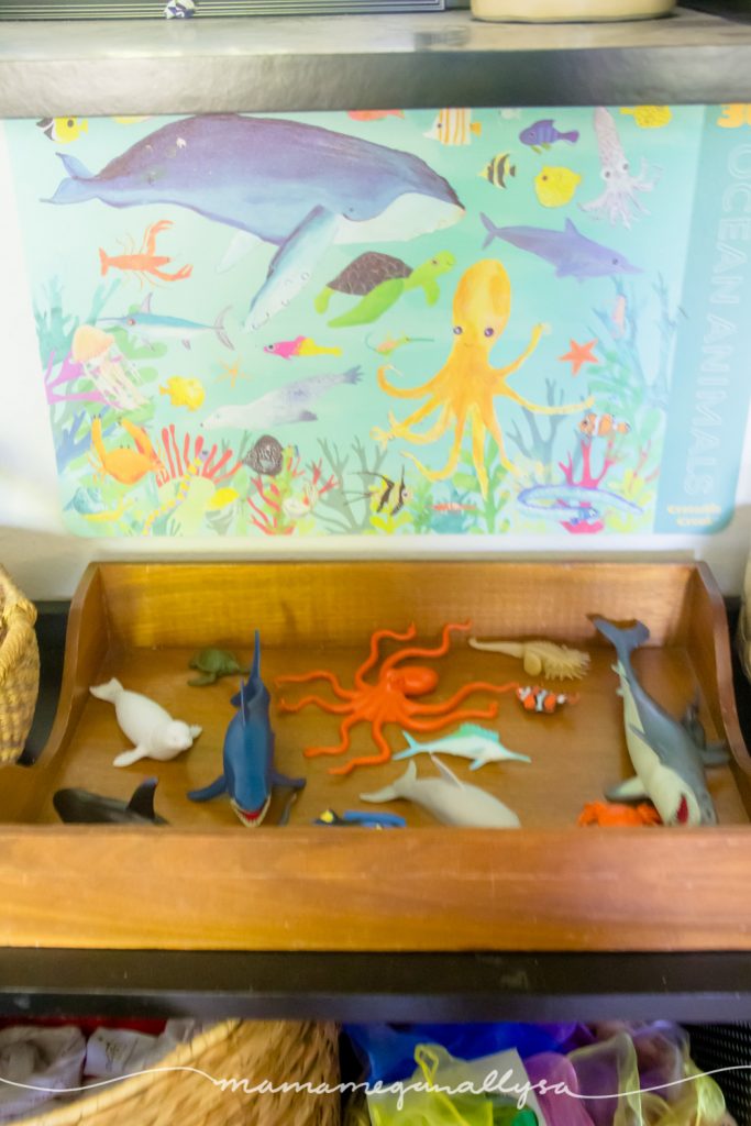 a ocean art placemat taped to the wall on the back of the shelf behind the tray of ocean animals