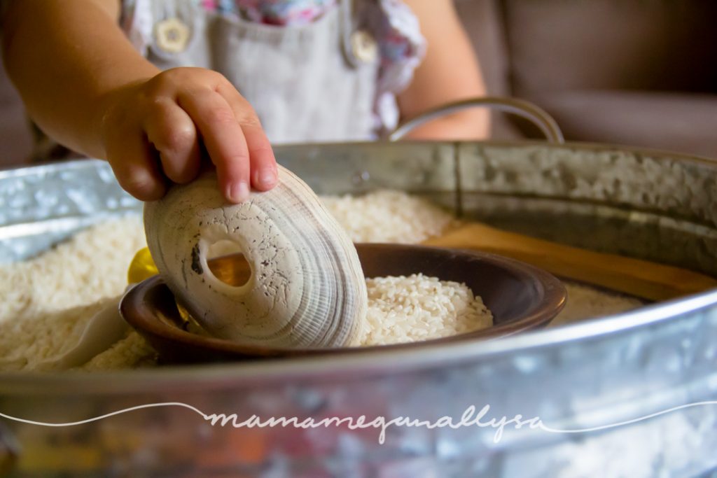 I really enjoyed scooping the rice with this particular shell. It even has a hole in the center that works as a funnel!