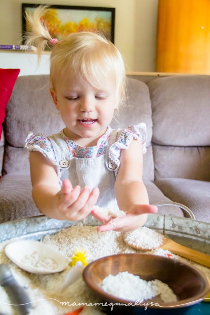 Play in a simple rice sensory bin is always fun, even more so when you add animals!