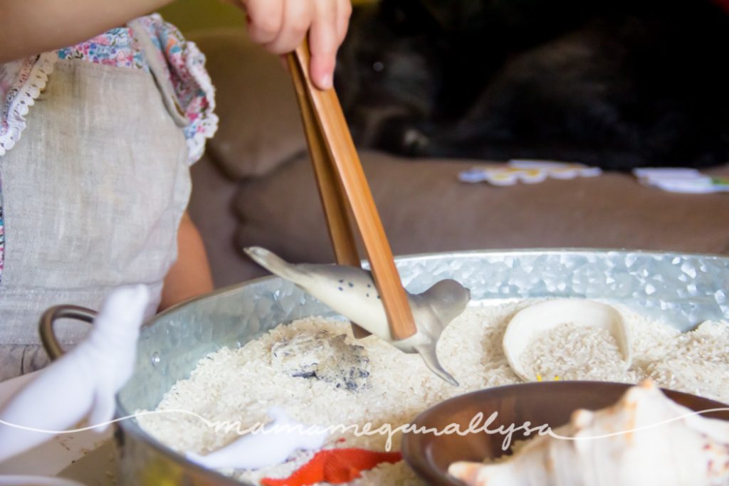 We spent a fair amount of time using the tongs to pick up the seals in our beach themed rice sensory bin