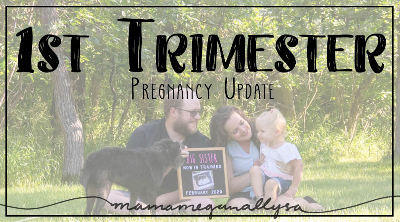 My 1st Trimester update is more so for me than anyone else, but on the off chance you want a peek into how I was feeling read on!