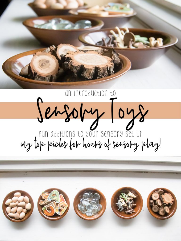 Our Top 10 Sensory Bin Toys to add to the fun of Sensory Bin Play