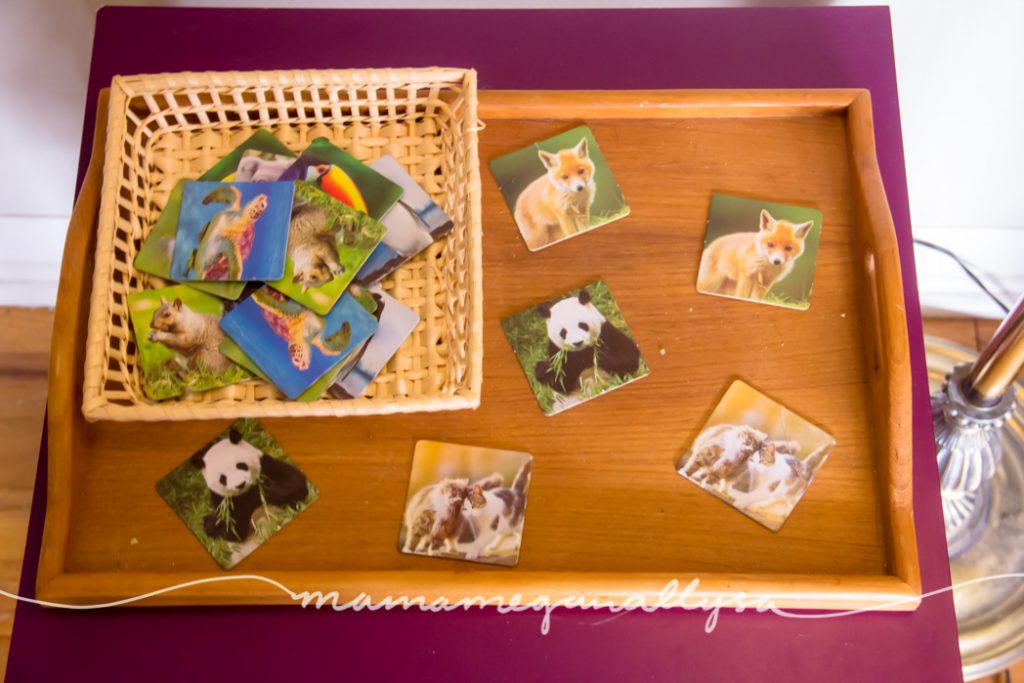 We are starting to introduce the idea of board/card games. We started simple with some animals matching this month