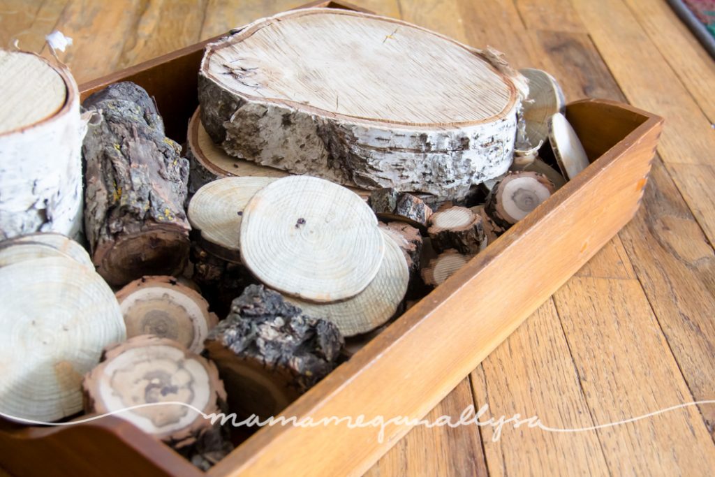 Some natural wooden coins and logs for some loose parts play and stacking