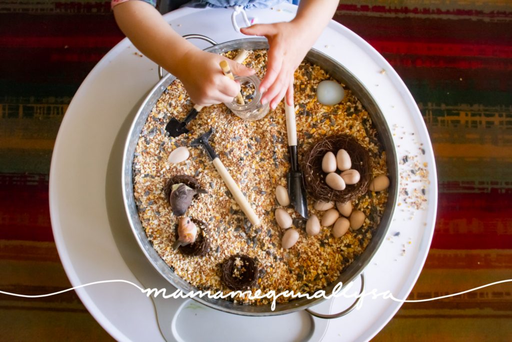 We added some small shovels, fake nests and wooden eggs to our birdseed sensory bin