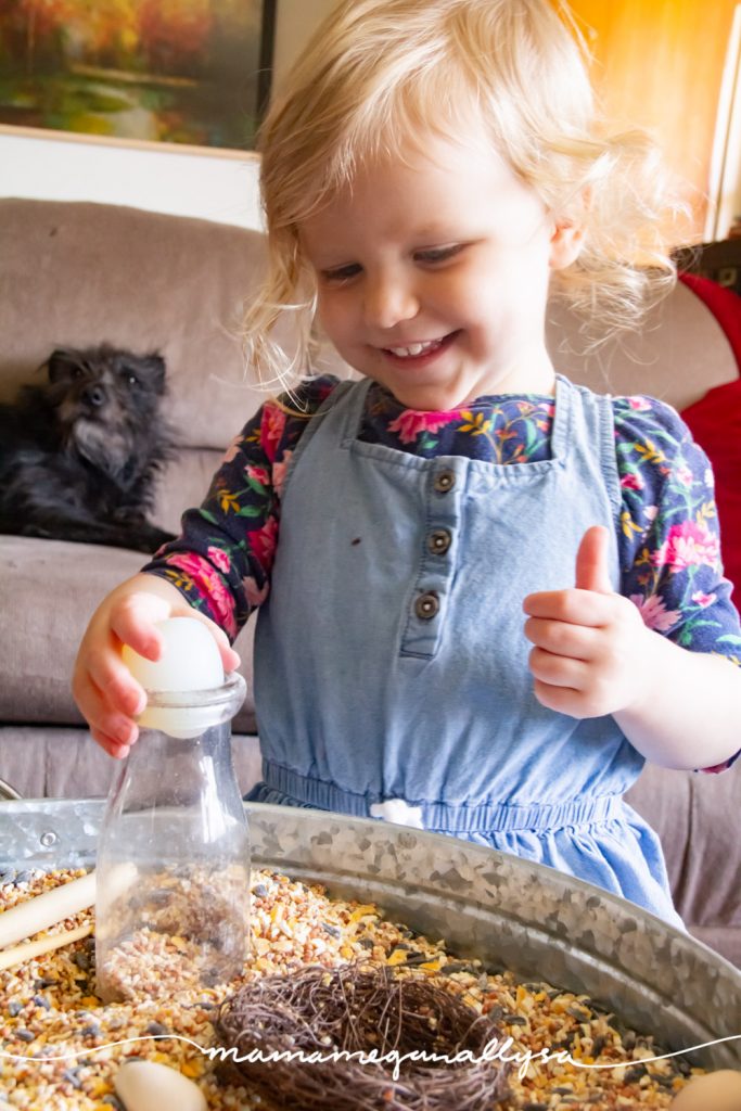 I provided small wooden eggs and one large stone egg in our birdseed sensory bin , we had fun discovering what fit in the milk bottle