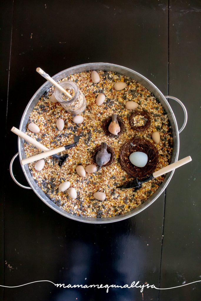 We added some small shovels, a milk bottle, fake nests, a couple bird figures and wooden eggs to our birdseed sensory bin