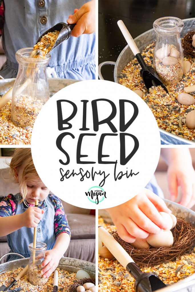 A birdseed sensory bin is a great springtime toddler invitation to explore