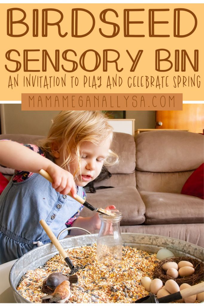 A birdseed sensory bin is a great way to celebrate spring as well as spark some discussion and learning about birds!