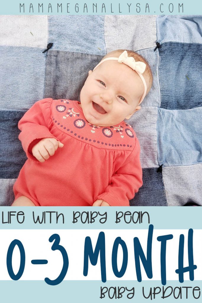 Life with Baby Bean has sure been interesting between adjusting to life as a mom of two and a world wide pandemic there has been plenty to note about her first three months!