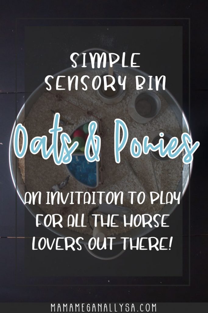 and oatmeal and pony sensory bin set up