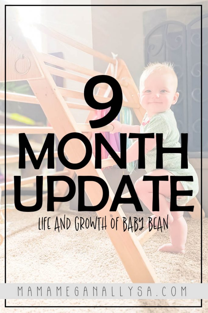 Check out the Life and Growth of Baby Bean and the 6-9 Month Milestones that we hit.