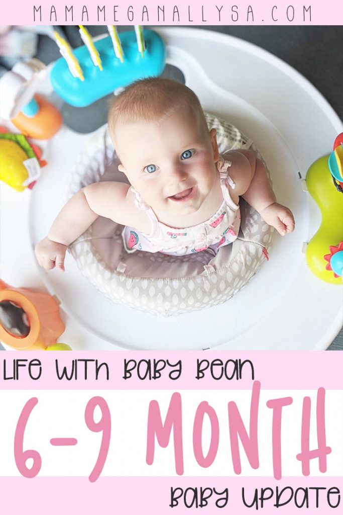 Life with a baby goes by too fast for its own good. I take the time to document a little bit about baby Bean as often as I can (mostly via pictures) then I compile it all here every quarter! See What 6-9 month milestones we hit this quarter!