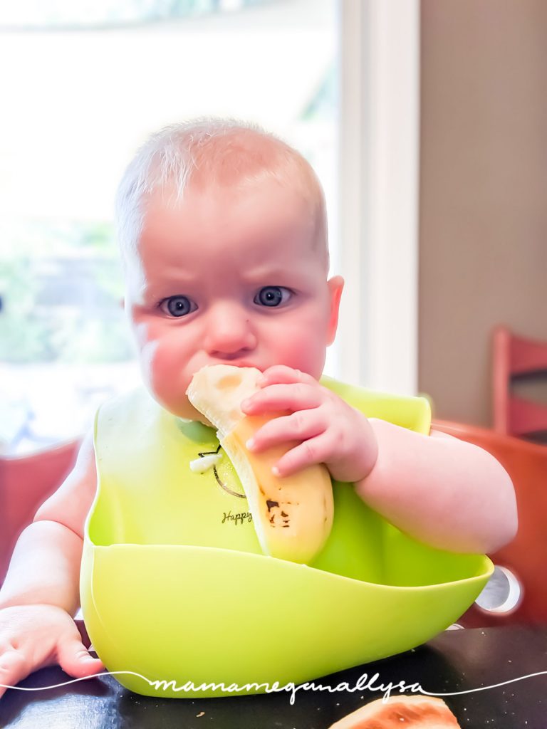 Tidy Tot Bib & Tray Kit, Best for BLW, Once Upon A Babe