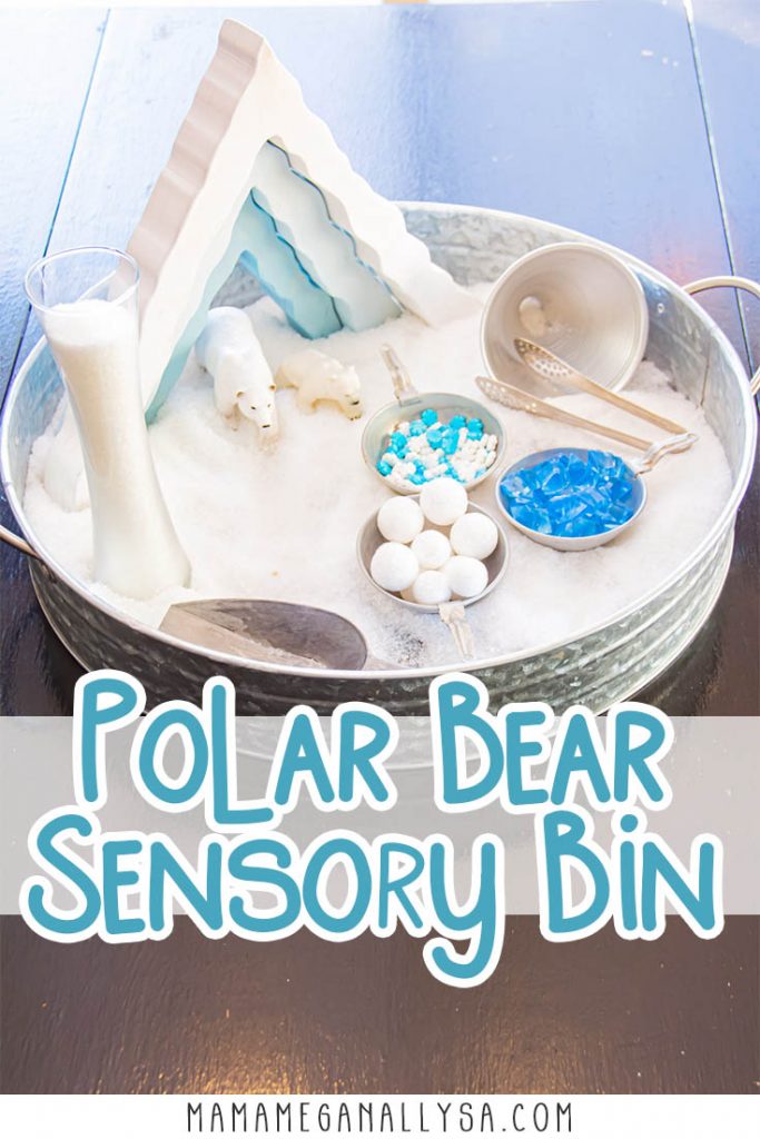 Penguin Sensory Bin, Sensory Bin, Sensory Kit, Arctic Sensory Kit, Winter  Sensory Bin, Sensory Bins for Toddlers, Sensory Bin Kit, Christmas 