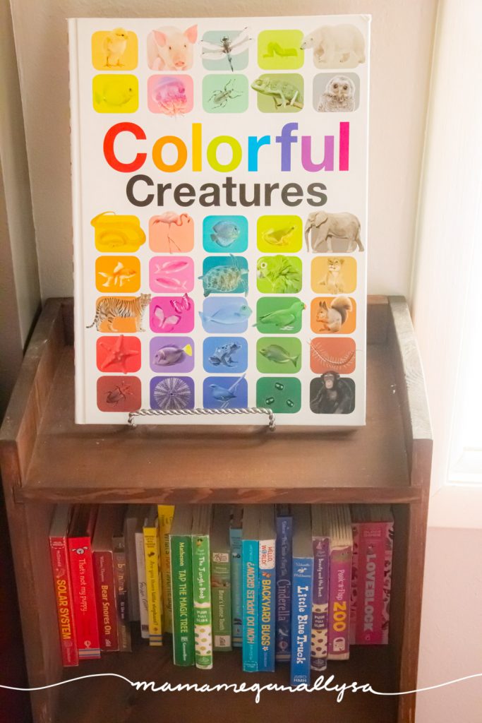 A rainbow of board books on a wooden bookshelf with colorful creatures book displayed on top