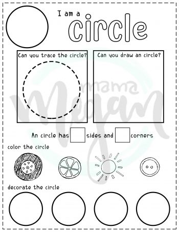 2D Shape Work Printables - Full Set - Image 2