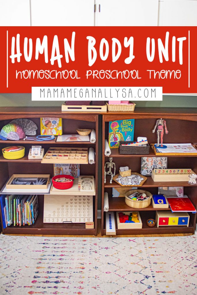 a pin image that reads human body unit homeschool preschool theme with an image of our homeschool preschool shelf filled with a variety of Montessori inspired work