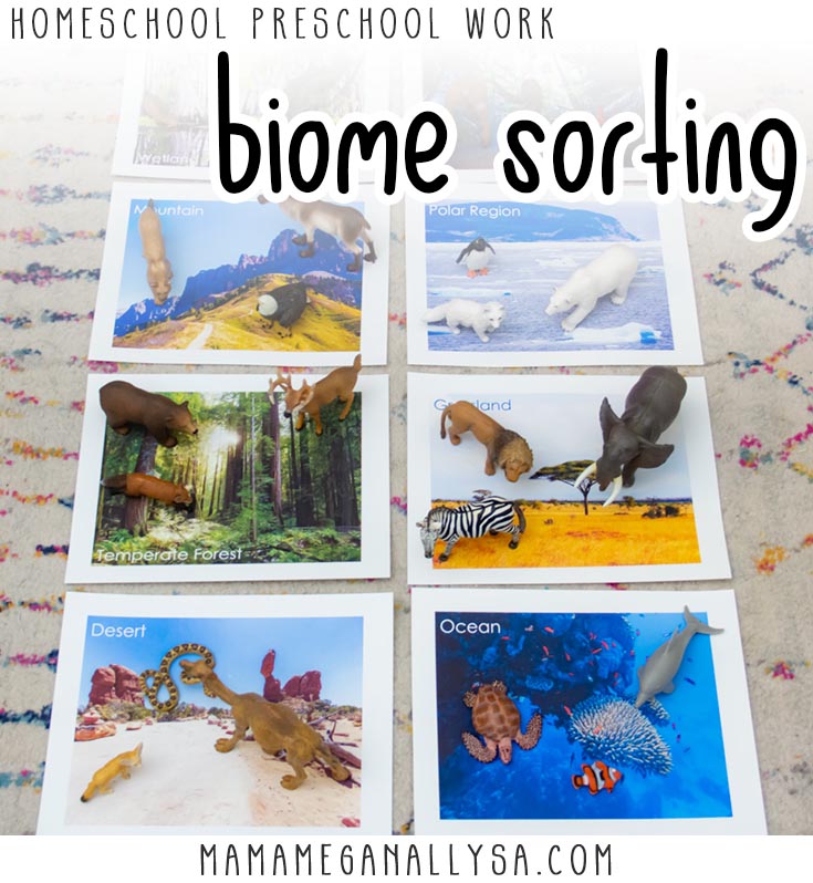 Homeschool preschool work : Biome Sorting

mats with images of different biomes 3 animal figures for each biome sorted on to the mats