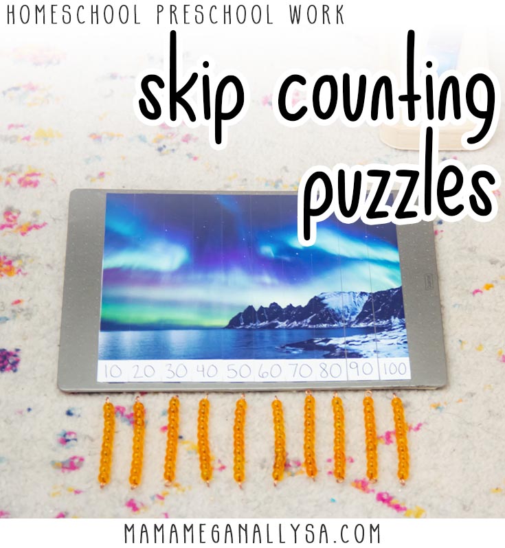 Homeschool preschool work : skip counting puzzle  an image of the aroura cut into strips and labeled with numbers counting by 10 assembled on a market board with 10's bar below for more 10/s counting