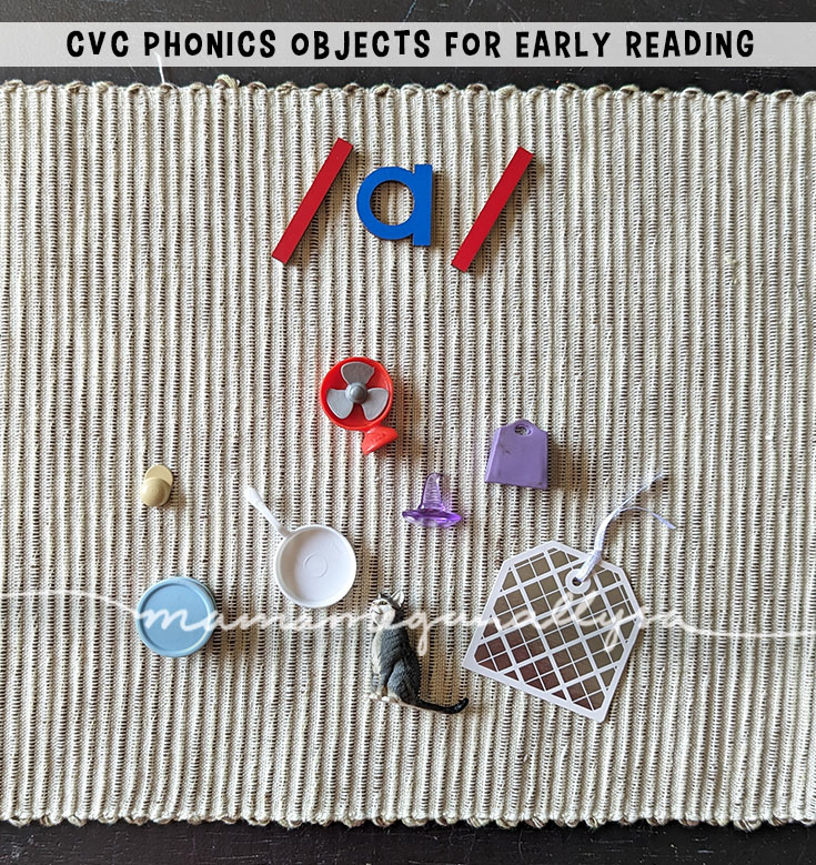 an image of a woven mat with a wooden letter /a/ at the top. Below it are a collection of CVC phonics objects. A hat, fan, bag, tag, pan, can, and cat
