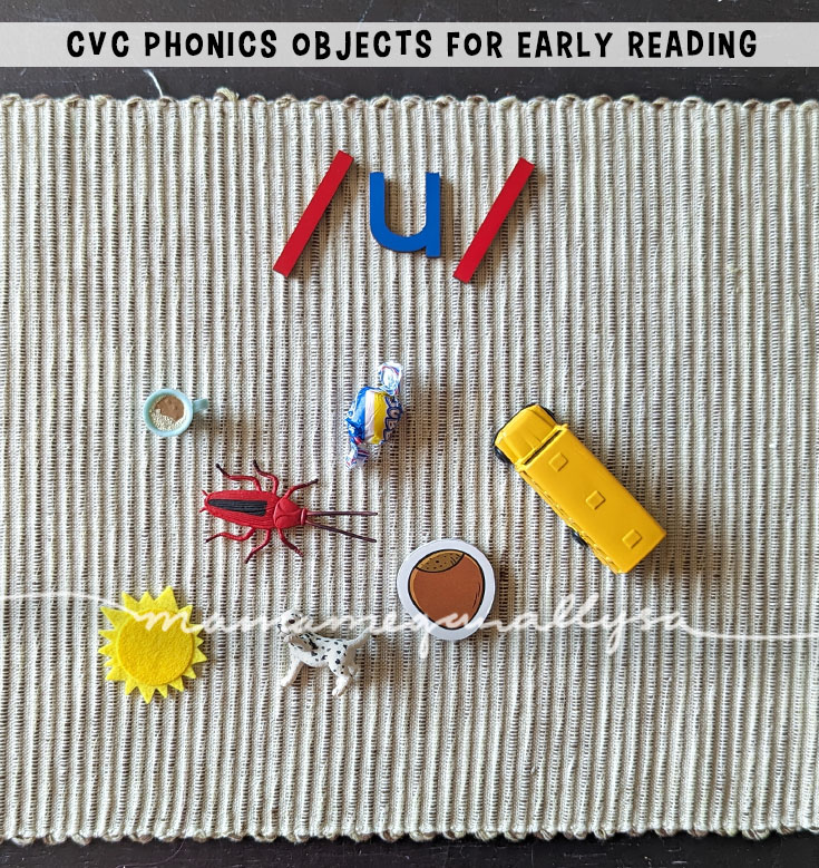 an image of a woven mat with a wooden letter /u/ at the top. Below it are a collection of CVC phonics objects. A mug, gum, bus, bug, nut, sun, and pup